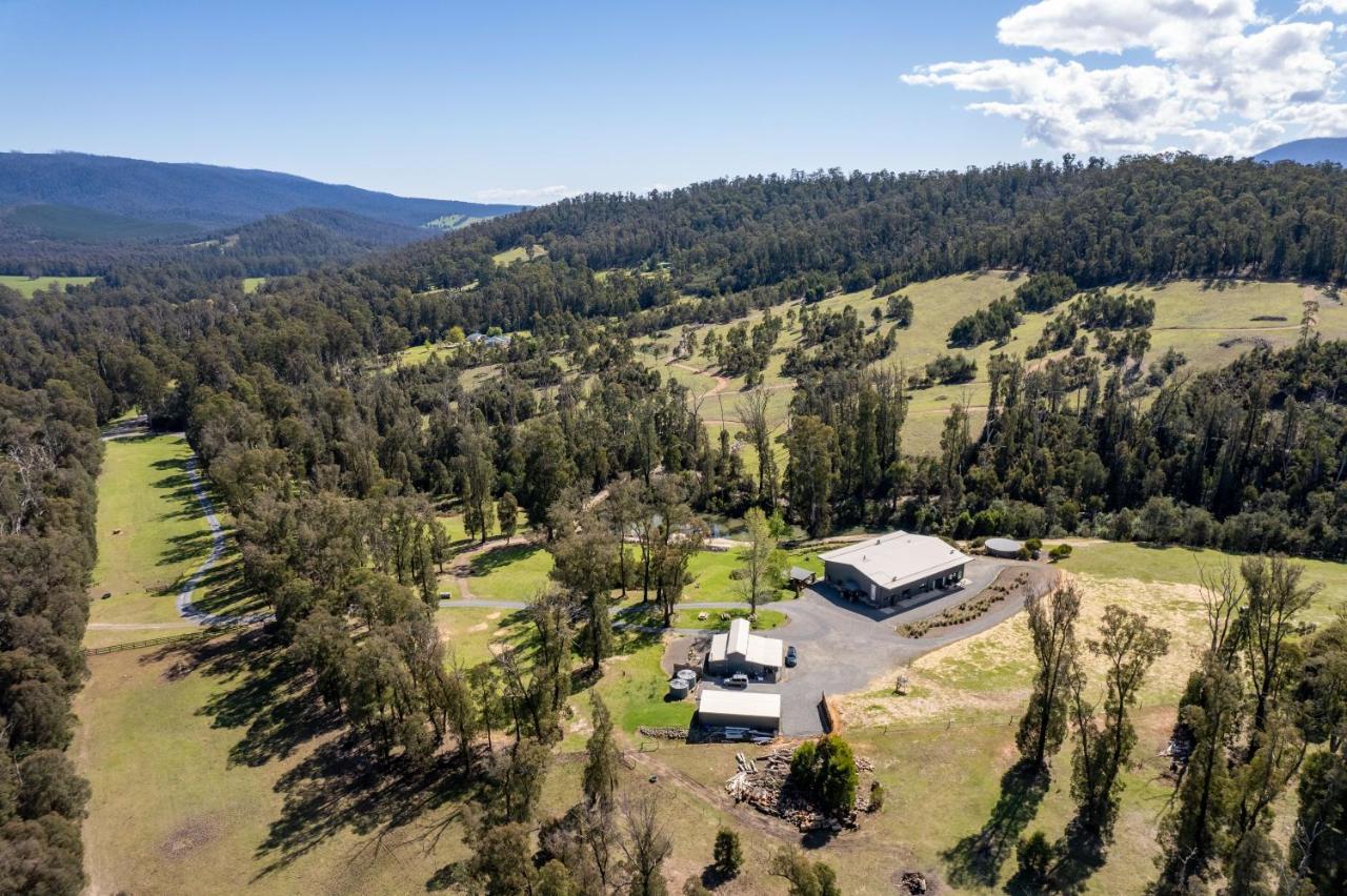 Saladin Lodge Narbethong Dış mekan fotoğraf