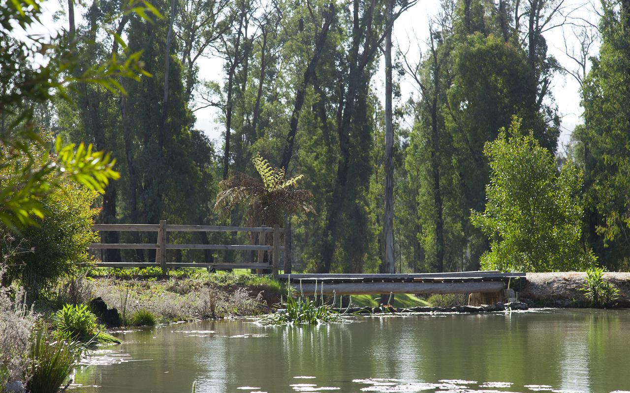 Saladin Lodge Narbethong Dış mekan fotoğraf