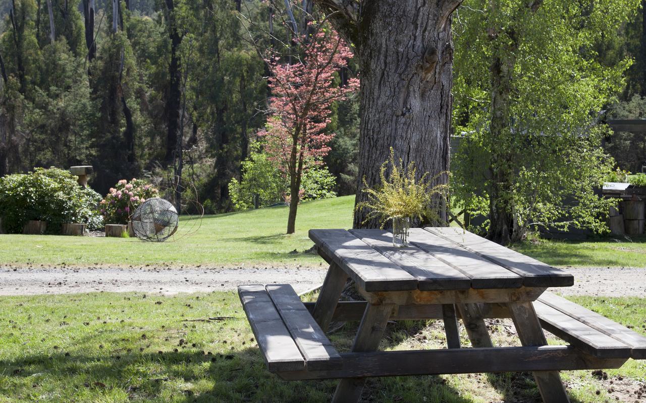 Saladin Lodge Narbethong Dış mekan fotoğraf