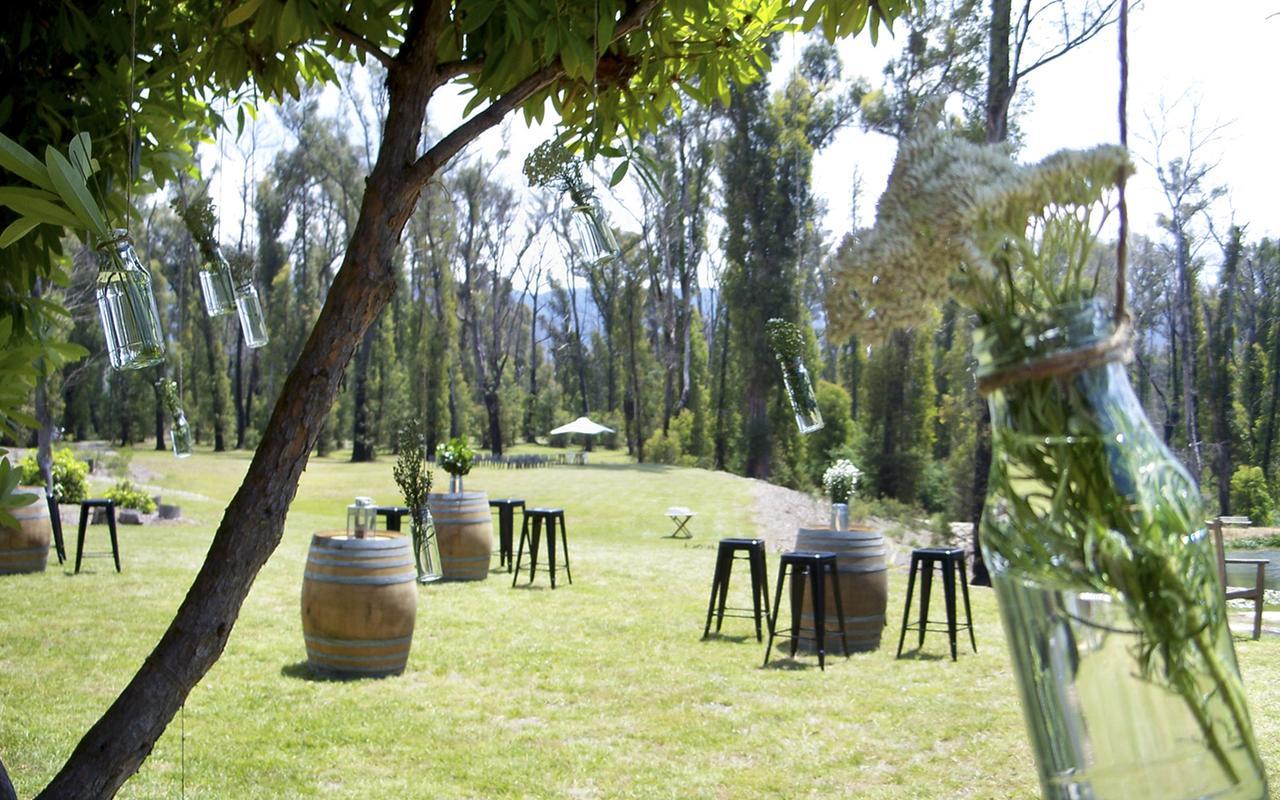 Saladin Lodge Narbethong Dış mekan fotoğraf