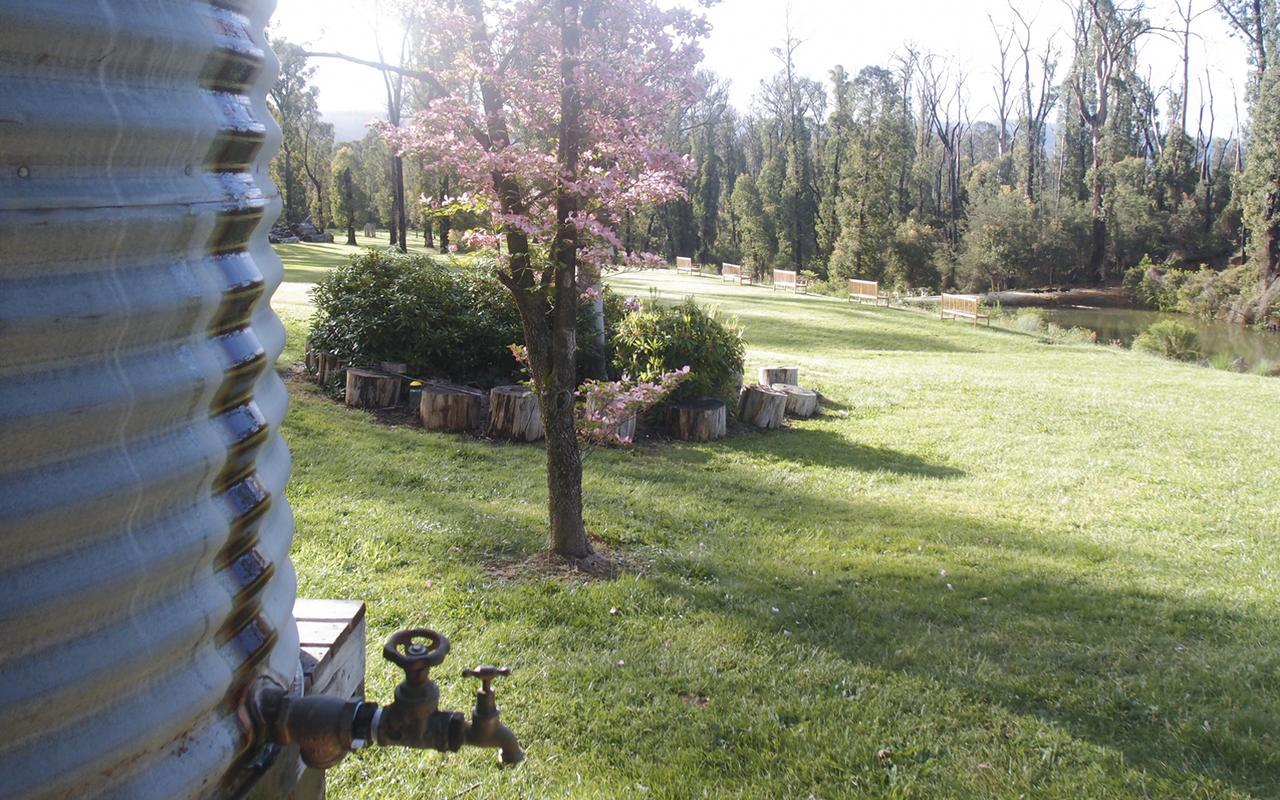 Saladin Lodge Narbethong Dış mekan fotoğraf
