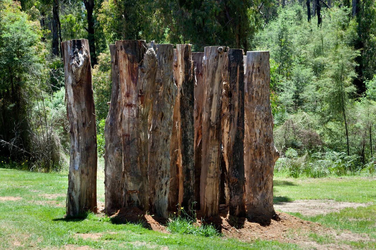 Saladin Lodge Narbethong Dış mekan fotoğraf
